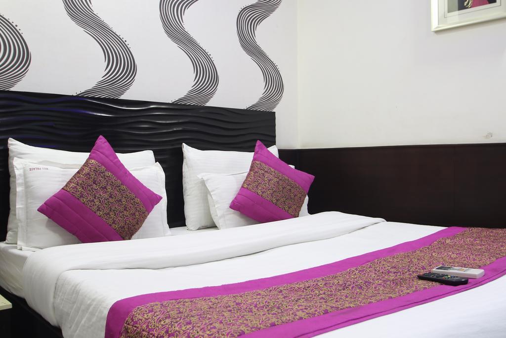 דלהי Hotel Hill Palace -Near Karol Bagh Metro Station מראה חיצוני תמונה